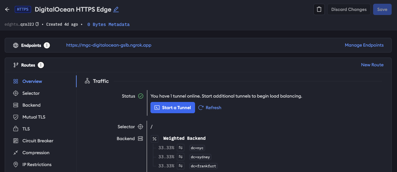 The ngrok dashboard showing online, weighted tunnels